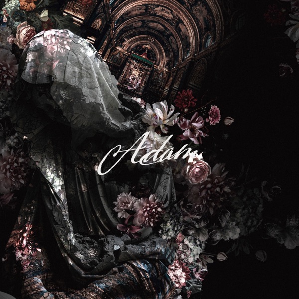 Adam cover
