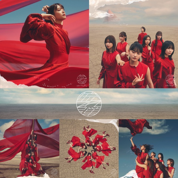 流れ弾 (Special Edition) cover