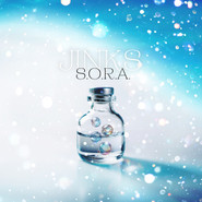 S.O.R.A. cover