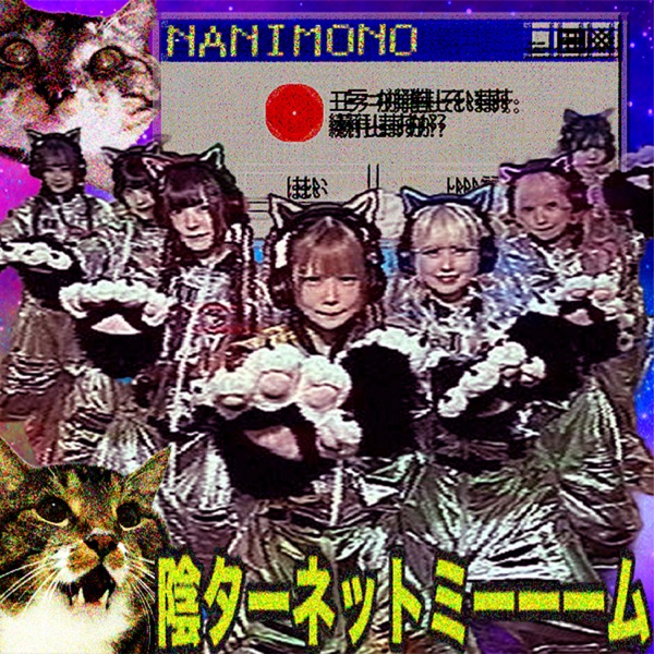 陰ターネットミーーーム cover
