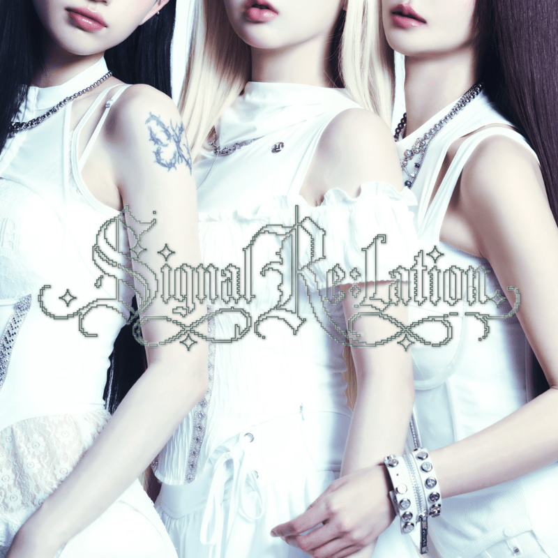 Signal Re_lation cover