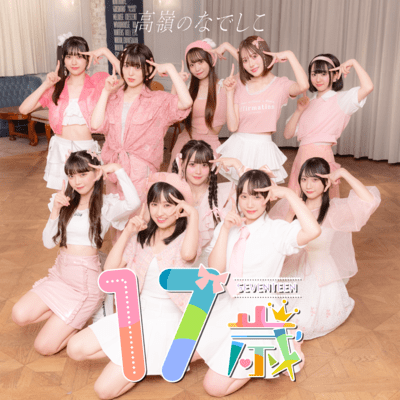 17歳 cover