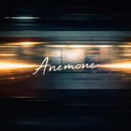 Anemone cover